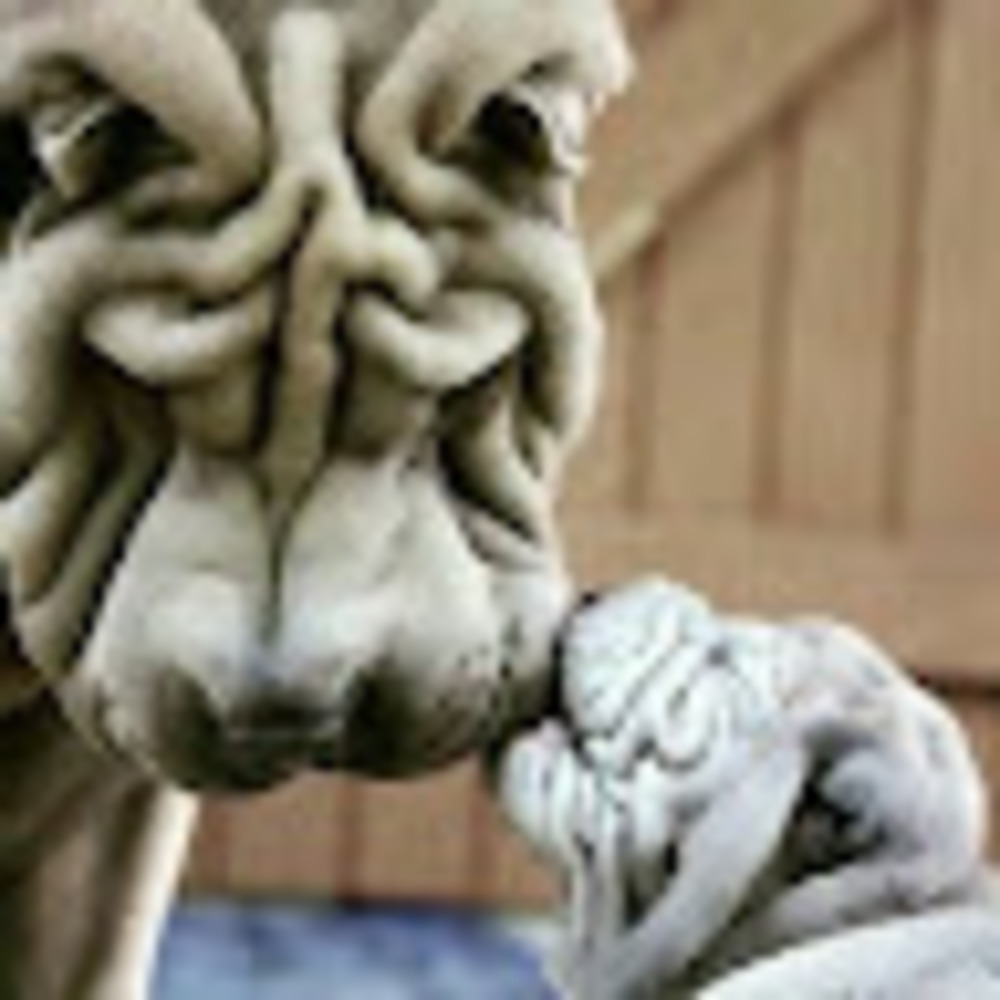 Meet your Posher, Wrinklez